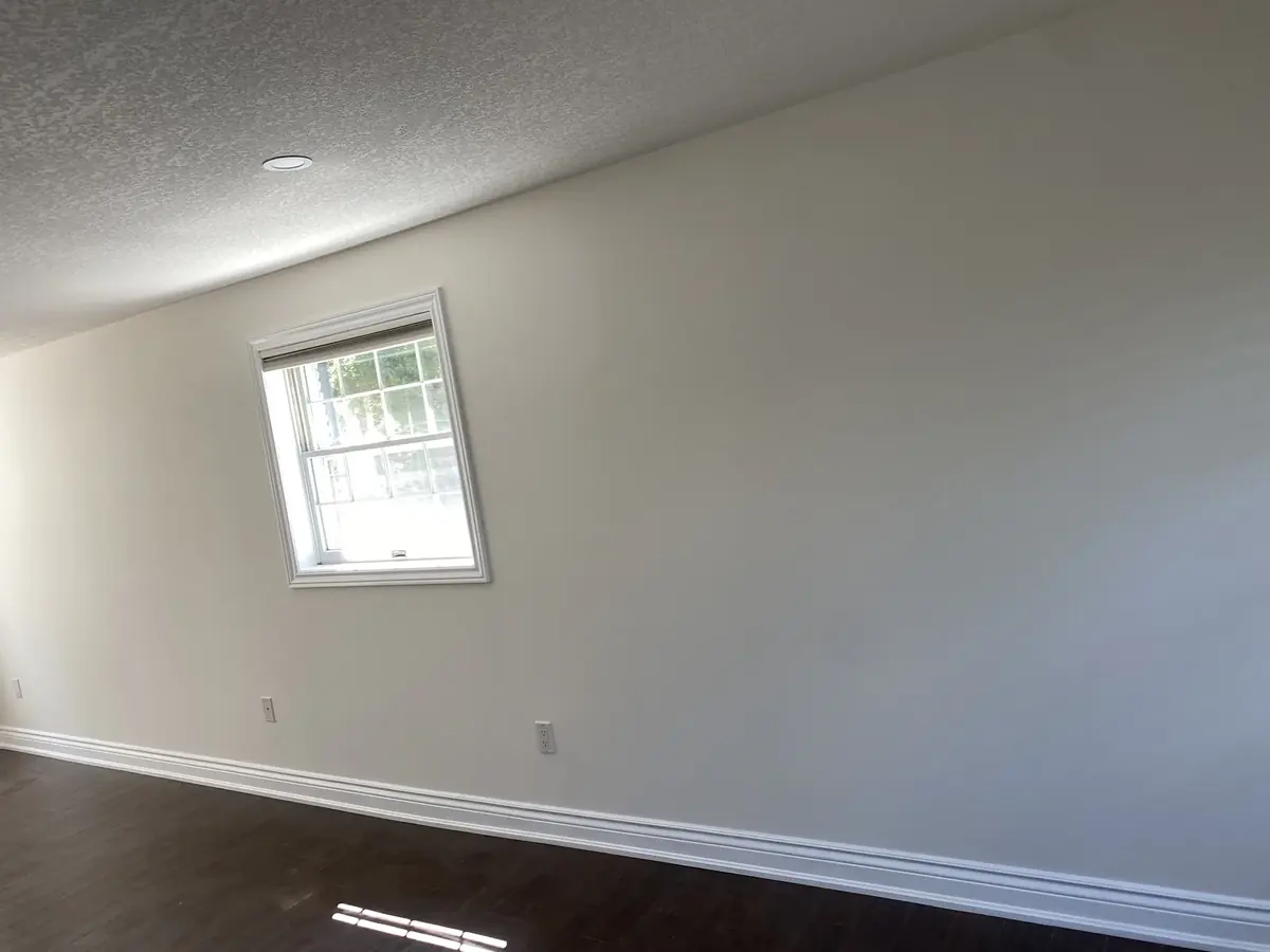 Freshly painted interior wall with white trim and recessed ceiling light